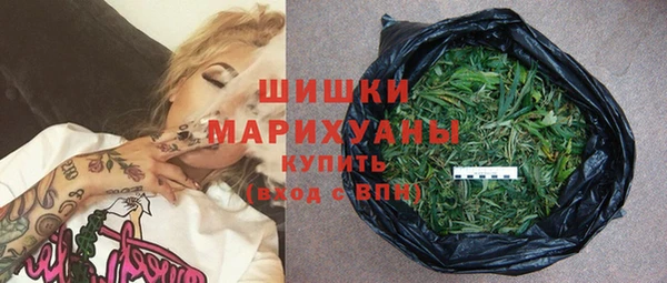 индика Балабаново