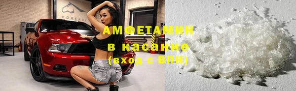 индика Балабаново